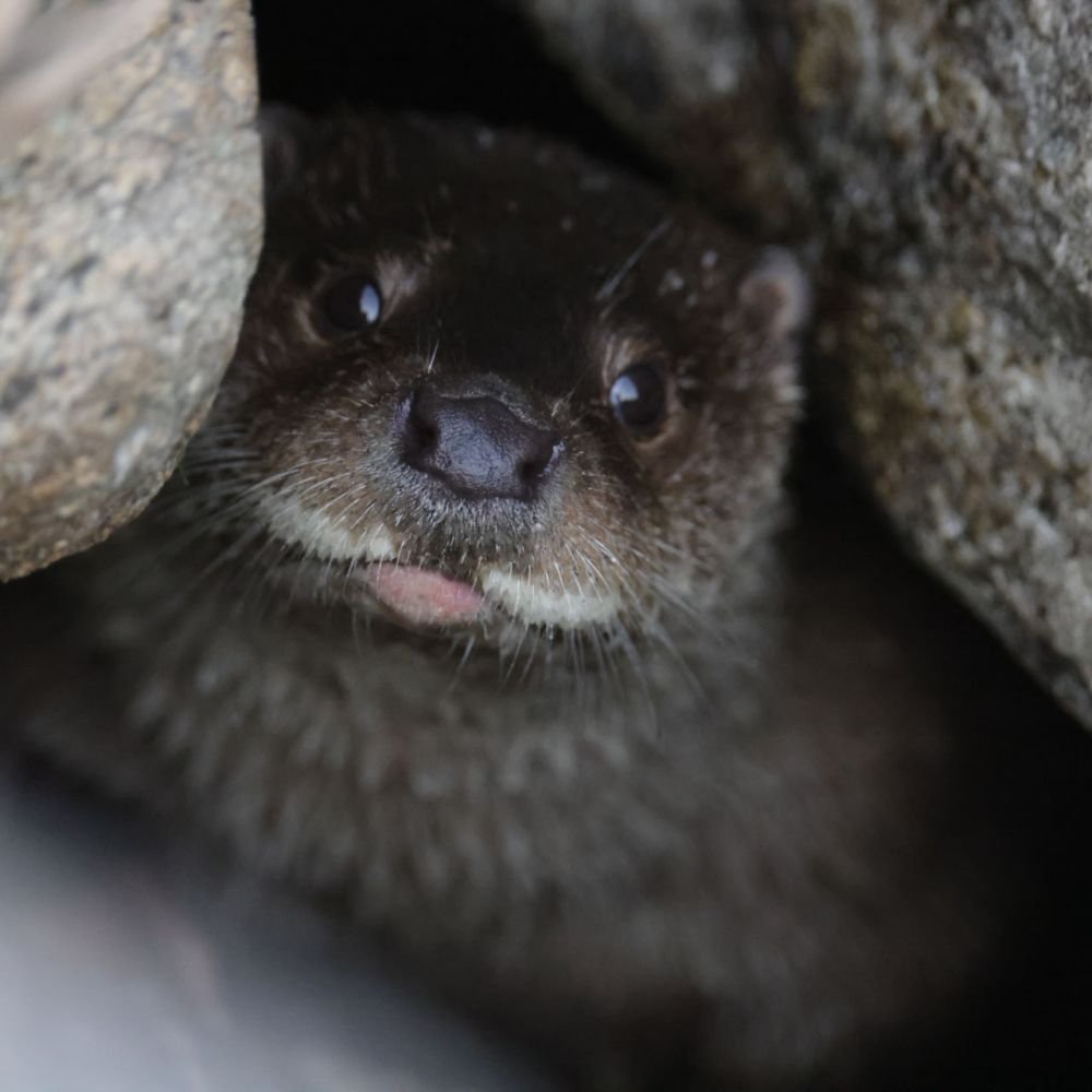 생태동물갤러리