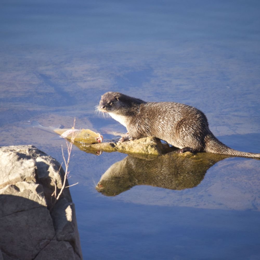 생태동물갤러리