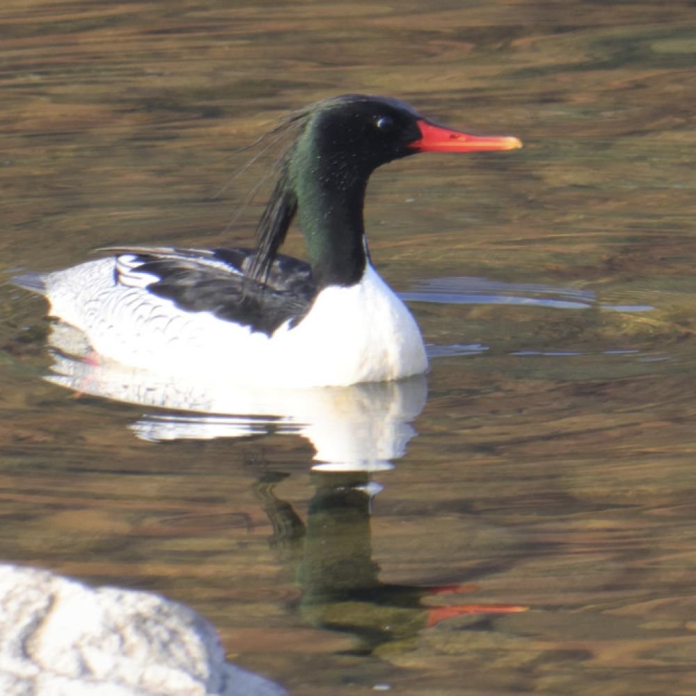 생태동물갤러리