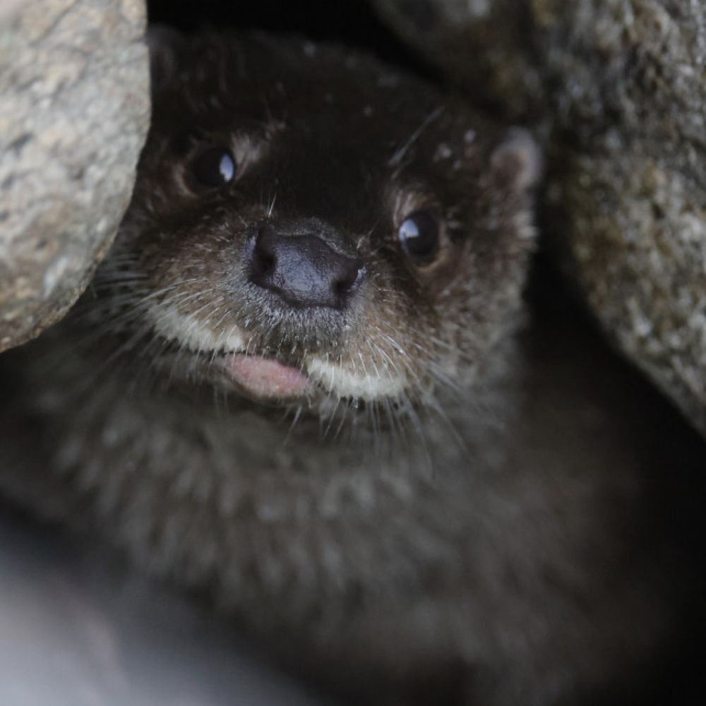 생태동물갤러리